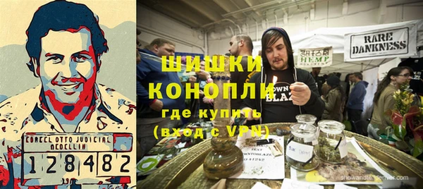 гидра Верхний Тагил