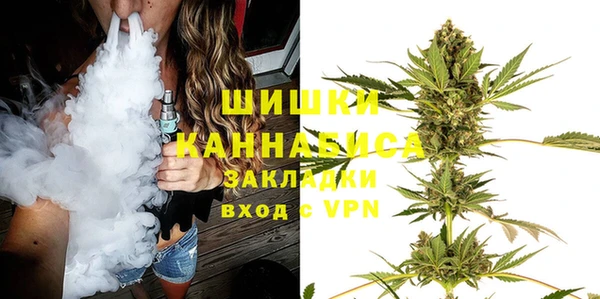 гидра Верхний Тагил