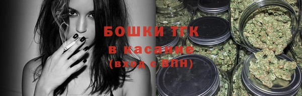 молекула духа Бородино