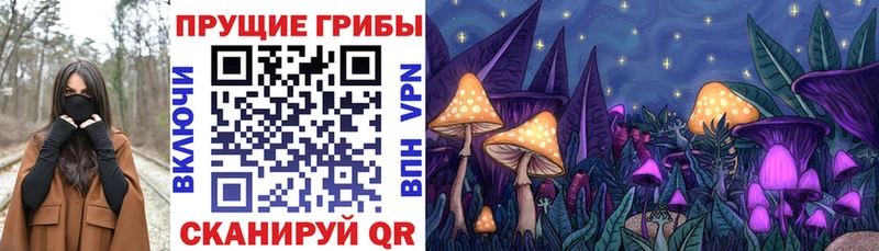 mega как войти  Вичуга  Псилоцибиновые грибы Cubensis  что такое наркотик 