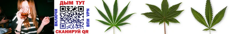 Бошки Шишки OG Kush  Вичуга 